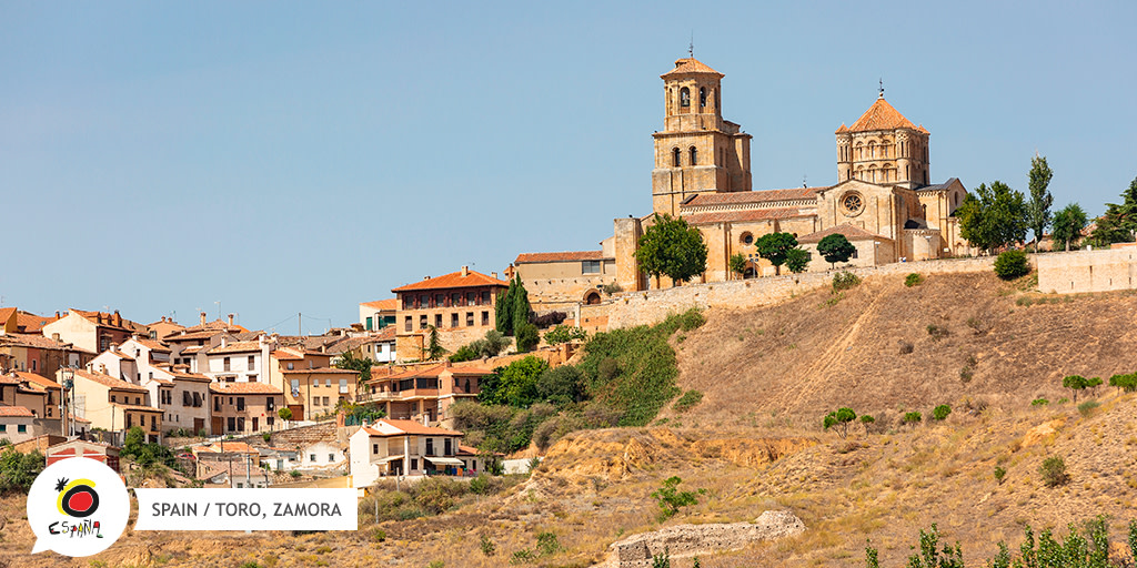 SpanienTourism's tweet photo. Kennst du die #Weinroute von #Toro? 🍷. Im Herzen von #KastilienLeón zwischen #Zamora und #Valladolid ist diese Region besonders Liebhabern von kräftigen Rotweinen bekannt 👌.

👉 https://t.co/MLSRCsKuIv

#SpainWineRoutes @CyLEsVida @RutasVinoEspana https://t.co/g7BGaX0we0