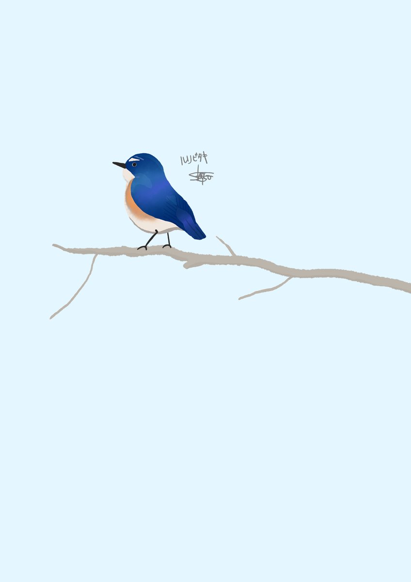 ショーゴ のギャラリー めずらしく馬ではなく小鳥描いた ルリビタキ 描いた人 Hakusandaimao イラスト 動物 鳥 青い鳥 イラスト T Co Rl330iqy1q Twitter