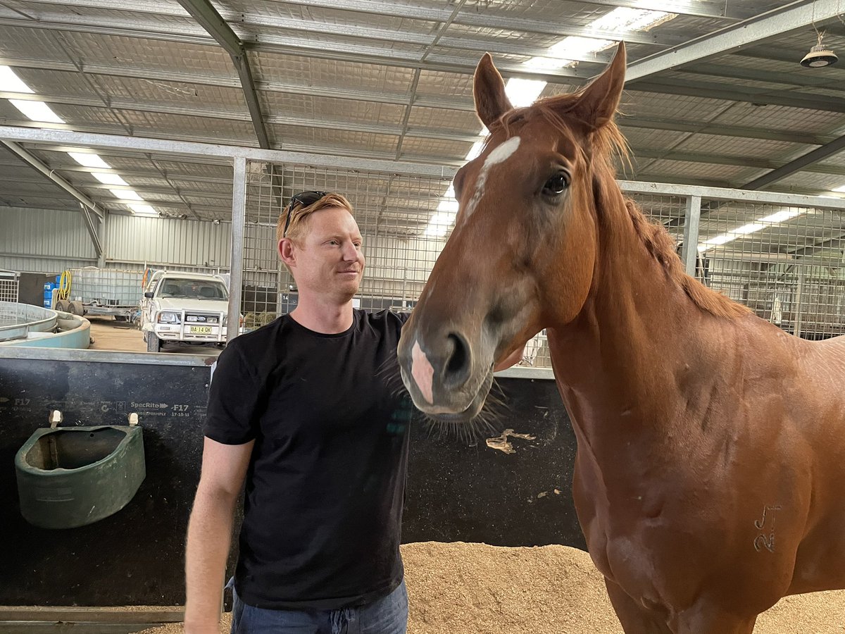 CallanRicho's tweet photo. A quick pat for the big fella today while he is having a rest #thebopper he is looking outstanding @brich_o @Hryan83 @franoshea11 @BradMar19 @Leesracing https://t.co/fXPWrm8yte
