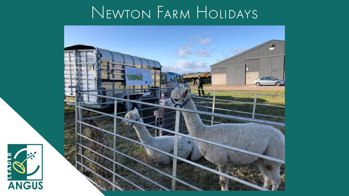 Angus LEADER tweet media