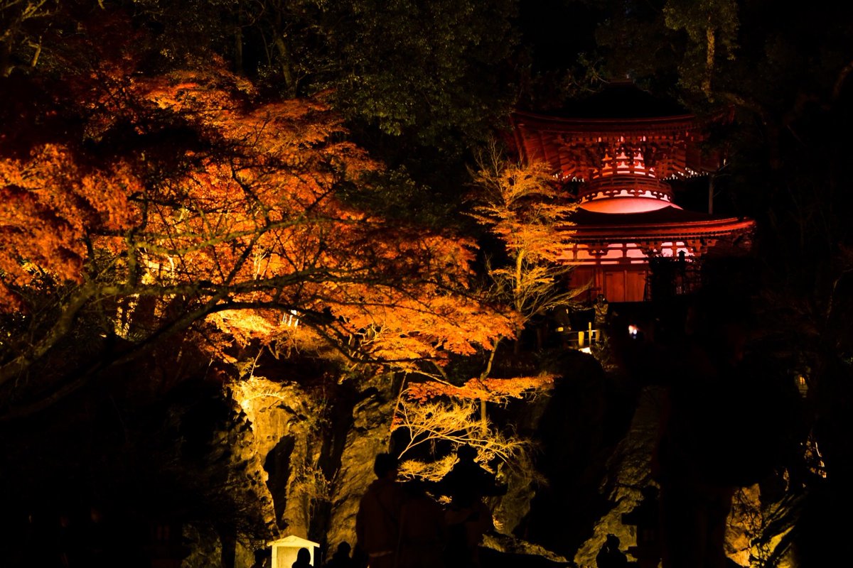 石山寺ライトアップ