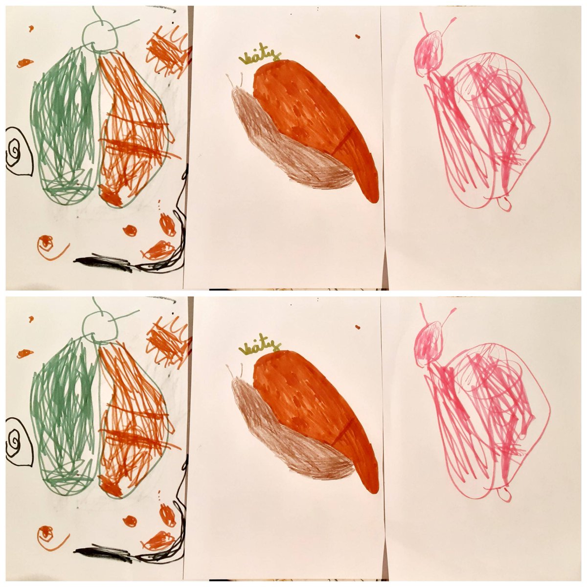 LearnShine's tweet photo. Talk of Achatina fulica, (or Steve the African land snail as he's known to his friends), has really inspired students this week! ๐๐ญ๐ What unusual pet would you most like to have?.... #inspiringothers #learntoshine #snailpace #slowdown #sharing #michelle #observe #pets https://t.co/Dcr6U8f12f