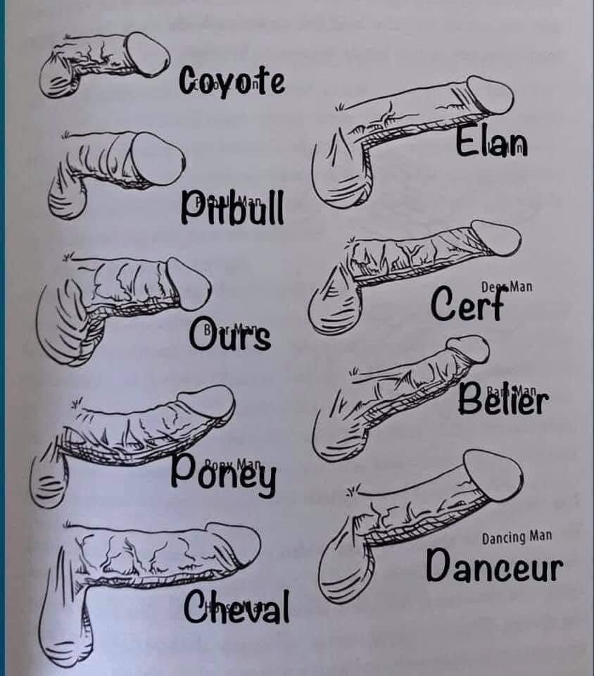 Mandragoule's tweet photo. Je suis Elan🙈et vous? 😬 https://t.co/kNFB9QycBw