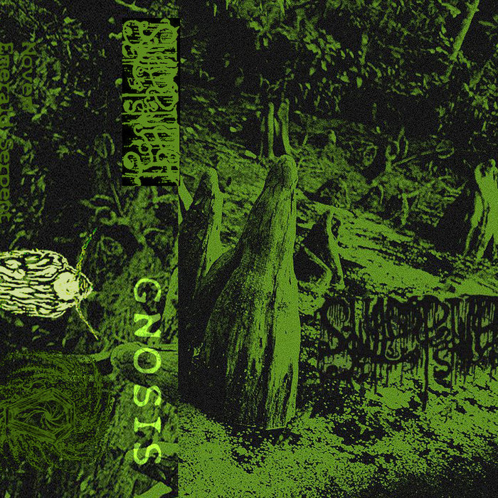 Swamp Witch; Gnosis. As far as I can tell, Swamp Witch are pivotal to Transylvanian Tapes. This is 3 tracks of very good if not particularly original doom. What's really eye opening is how all 3 tracks are then remixed & slowed with a layer of sonic dirt to make them weirder.