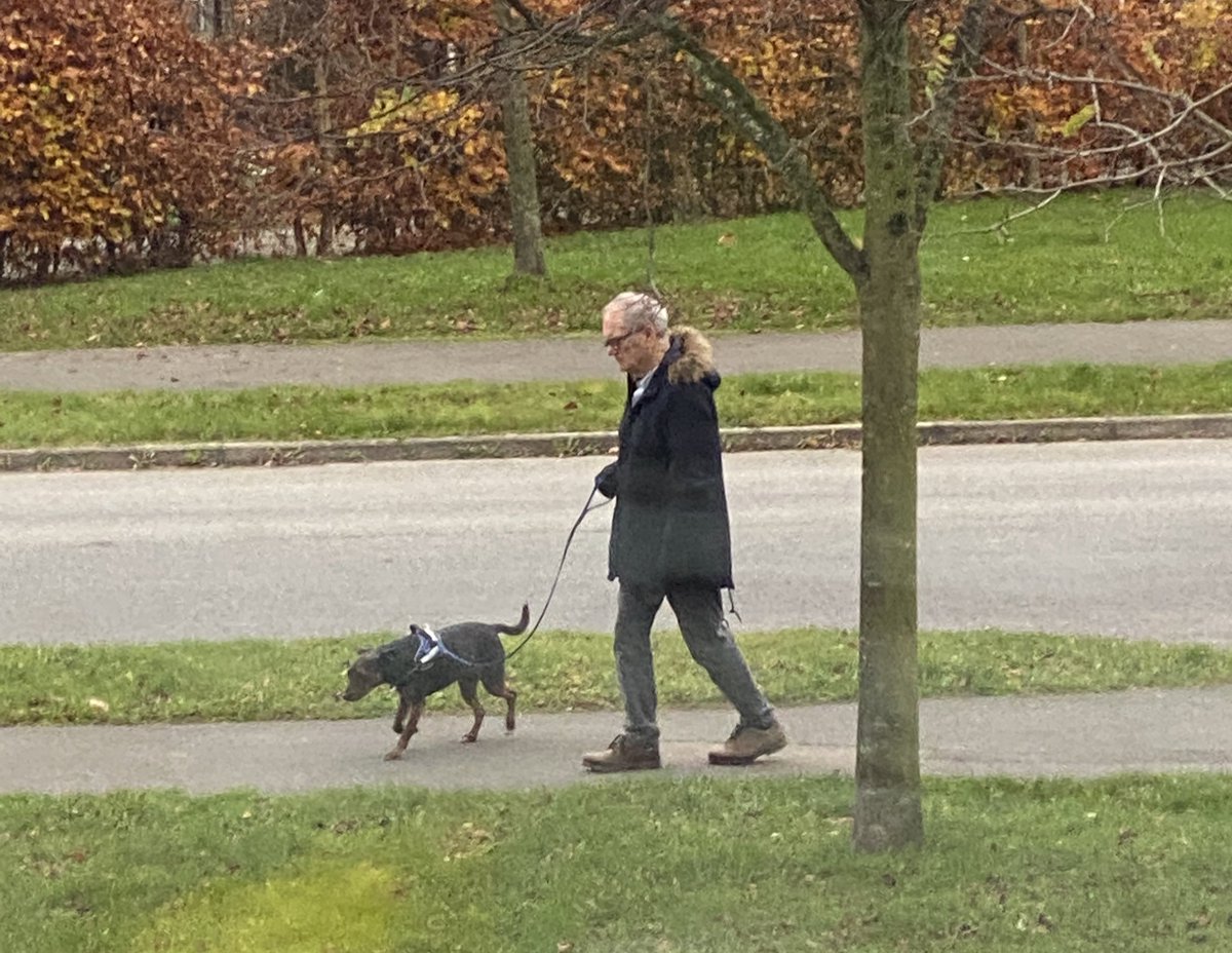 andywilmer's tweet photo. Dominic Cummings walking his dog up in North Yorkshire. He’s checking his hearing this time though. #DominicCummnings #DomGate https://t.co/TQ90cJT7vs
