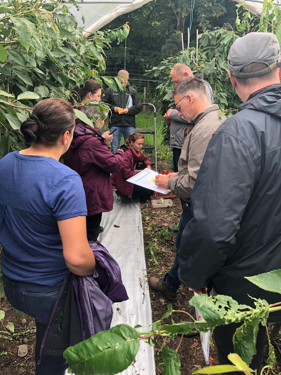 There’s only a few days left to register for our interactive #SmartHort course focussed on increasing #productivity in #horticulture. Join us to get practical guidance and support from expert consultants <a href="/ltd_usp/">Fedden Usp ltd</a> DM me for more info or visit ahdb.org.uk/smarthort/lean… <a href="/AHDB_Hort/">AHDB Horticulture</a>