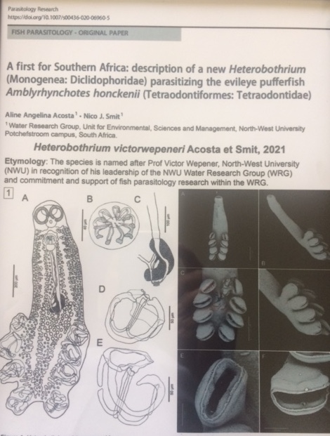 Feeling very honoured and humbled. My good friend and colleague <a href="/NicoJSmit1/">Nico J Smit</a> and his post doc Aline Acosta named a Monogenean flatworm from the evil eye pufferfish after me <a href="/NWU_WRG/">NWU_WRG</a> <a href="/WaterResearchSA/">WRC</a> @SETAC_world