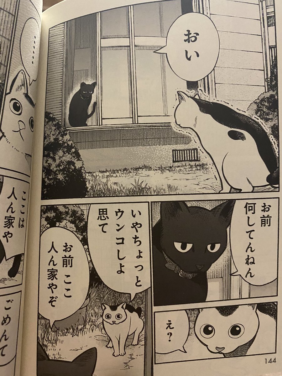 猫のマンガ 猫のマンガ