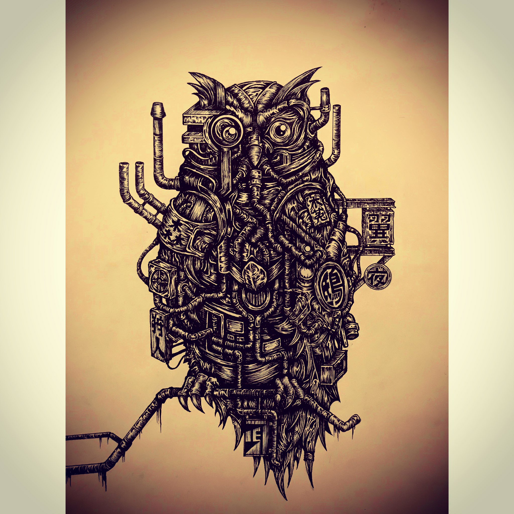 キジトラ Kenko Tea Twitter