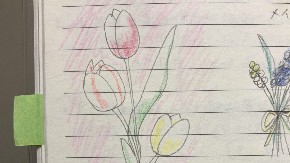 Erie0506's tweet photo. #チューリップ 描いてみた✨ https://t.co/fyQIYKkpkS