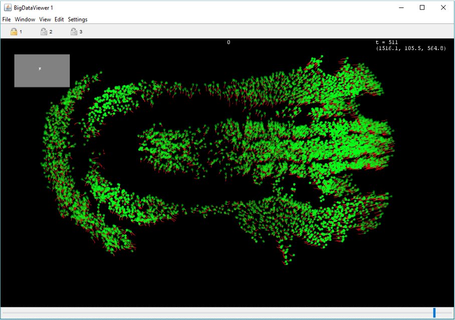 3/- very large images- but large images can generate a huge amount of annotations too.Mastodon can harness these 2 challenges, by staying *interactive and responsive*. You can still modify a single cell in the middle of a dataset of >500M cells(img from Katie McDole)
