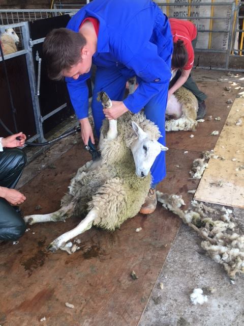 BrackAg's tweet photo. We are still here, still learning and having fun. Want to join us in September 2021? Here's what we get up to! #FE #College #Brackenhurst #Agriculture #FarmingTwitter #NTU https://t.co/eFKJZkwCn1