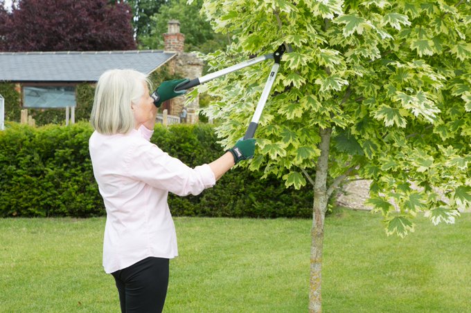 Image: https://pbs.twimg.com/media/EnGQDAwXUAEMkgg?format=jpg&name=small image