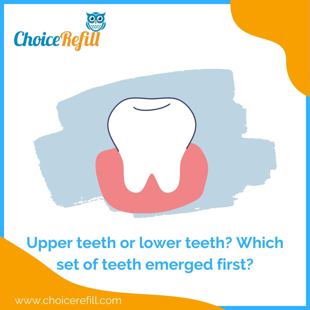 SmellLockTech's tweet image. Upper teeth or lower teeth? Which set of teeth emerged first? #ToothEruption #UpperTeeth #LowerTeeth #ChoiceRefill #DiaperPailRefill