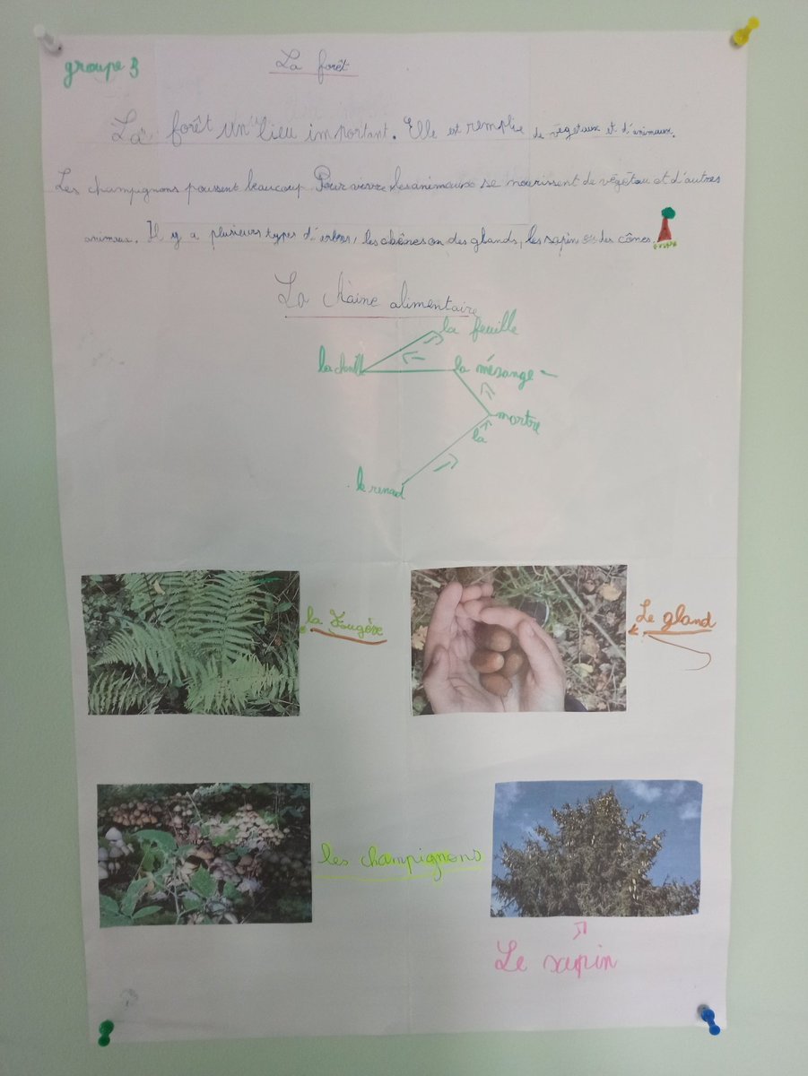 velorcey's tweet photo. Nos exposés réalisés après une balade en forêt https://t.co/HD55bP2gep