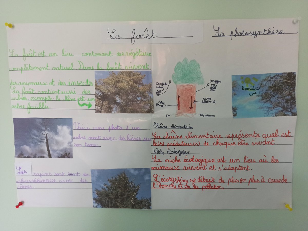 velorcey's tweet photo. Nos exposés réalisés après une balade en forêt https://t.co/HD55bP2gep
