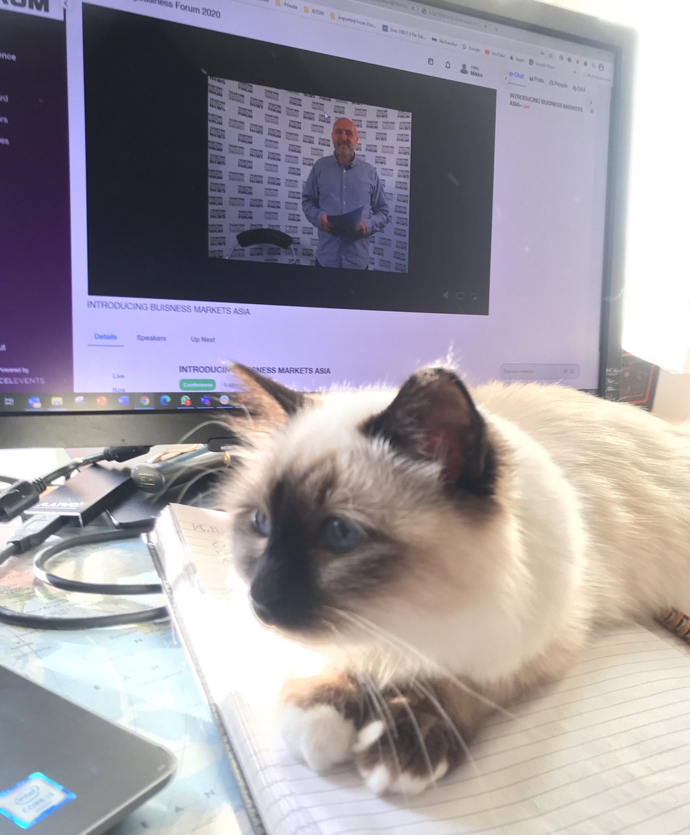 _mmattila's tweet photo. #tbf20 #reimagineticketing day_2, Rose Marie takes a break between lessons ... https://t.co/bDYiCazWR7
