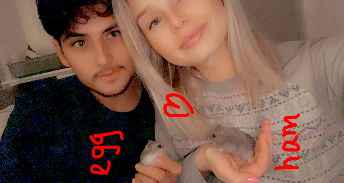 PonderSusie's tweet photo. RIP egg, ham just isn’t the same without you😢 https://t.co/KVzjXboEz7