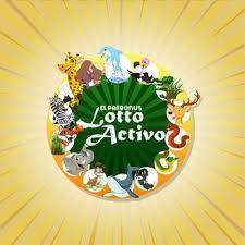 PabloJota27's tweet photo. (( #SININVENTADERAS )) A Seguir Ganando Hoy Miércoles Con Un Verdadero Análisis Profesional En @lottoactivo Ayer #INFORMACIONVIP (22)CAMELLO, Sin Dar Ventajas, Hoy #MIERCOLESDEMILLONES  Ws: 0414-969-0049 De Que Sale Sale Y "VENTE PALOMA VIEJA" Porque El Dueño Del Zoológico Soy Yo https://t.co/ReW2QNMCzy