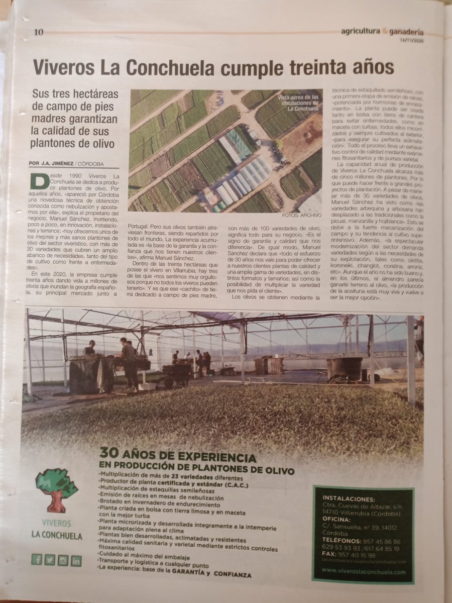 La_Conchuela's tweet photo. VIVEROS LA CONCHUELA, S.L. cumple 30 años.
El pasado lunes nos hicieron un reportaje en el monográfico de agricultura y ganadería del periódico ABC  de Córdoba.
Esperamos que os guste https://t.co/33IdytVH5i