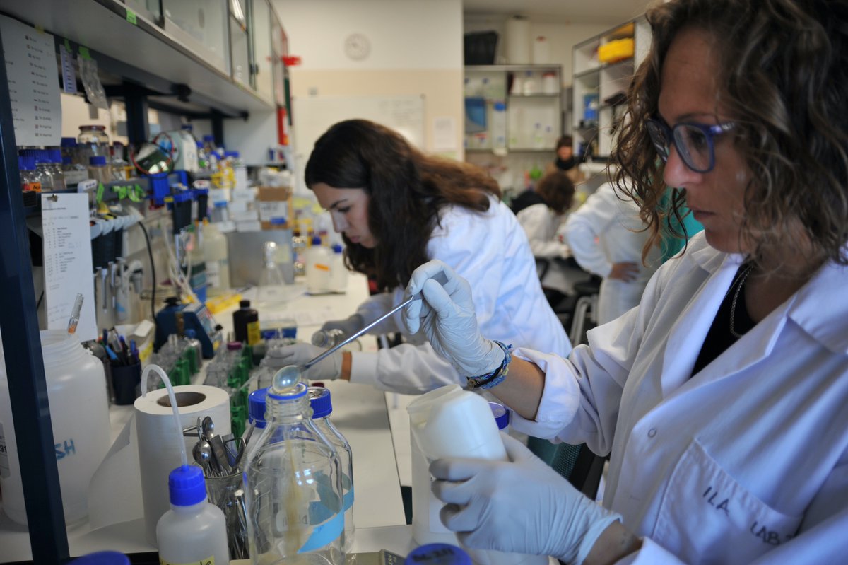 Os animamos a participar en esta edición de "Yo investigo. Yo soy CSIC" a todos los investigadores predoctorales. 
biqfr.blogspot.com/2020/11/el-csi…