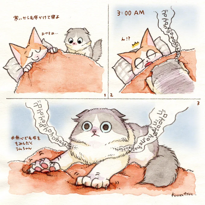 毛布みたいなふかふかした布を見ると揉まずにはいられない猫ちゃん 