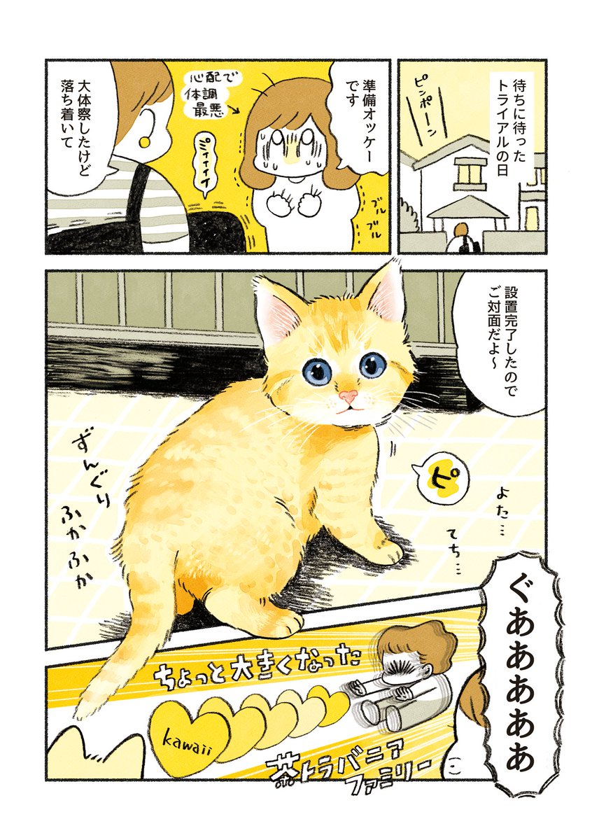 ちーちゃんのトライアル 