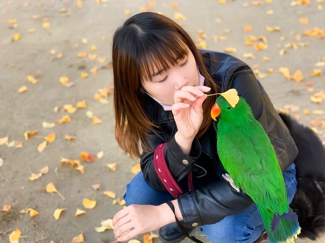 Arika 今日は 寒くなる前に ウチの南国の鳥と散歩してきた ぼーちゃんはどうやら 自転車が好きみたい リュックに背負って走ると 後ろから鼻歌が聴こえてきます ニューギニアオオハナインコ オオハナインコ Eclectus 大型インコ T Co