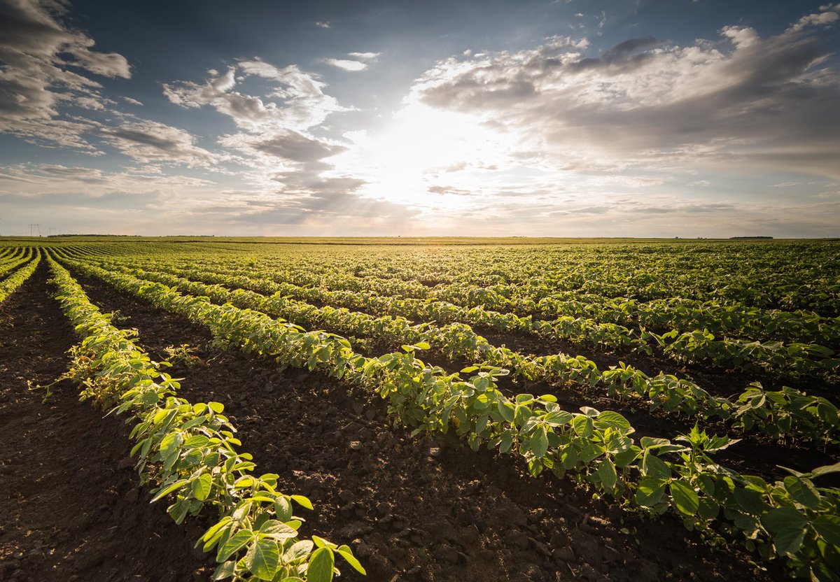 Did you know?

Fortalis™ is an advanced foliar sprays containing our patented CaT™ technology. This optimizes calcium mobility for higher yield in soybean!

To find out more, download our product sheet here  - 

bit.ly/3kt7EjS

#PlantImpact #CropCare #Fortalis