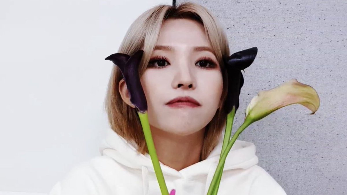 c (@IDLEDIOR) / Posts / X