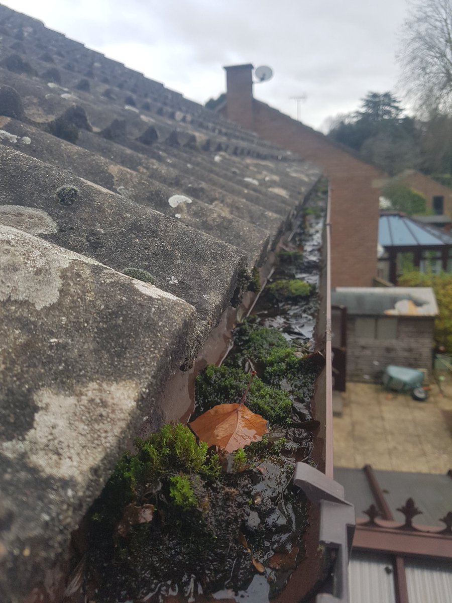 sheen_ro's tweet photo. Annual gutters cleared in Marcham today now that all the leaves have fallen.  #gutterclearing #witney #witneybusiness #madleypark https://t.co/M6eEUzMoLV