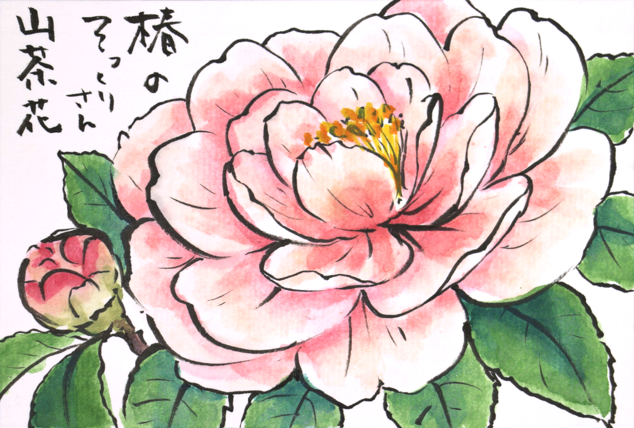 快適art絵手紙 秋のピンク どちらも可憐に描けました ひらっとした花びらの線画は 裏側 表側を意識して切り替わるところのカーブを綺麗に 言葉で説明がいまだに出来ません 秋明菊 T Co 12i4lnddxt 山茶花 T Co Ldtkwogpwu 快適絵