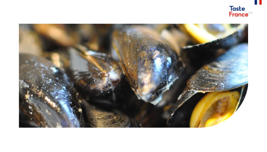 TasteFrance_EN's tweet photo. #Mussella raised €2 M to build its new plant, which will be able to take out the flesh from mussel shells thanks to an innovative patented #tech, with the support of @IDMERFrance. https://t.co/y7n7IG8fks