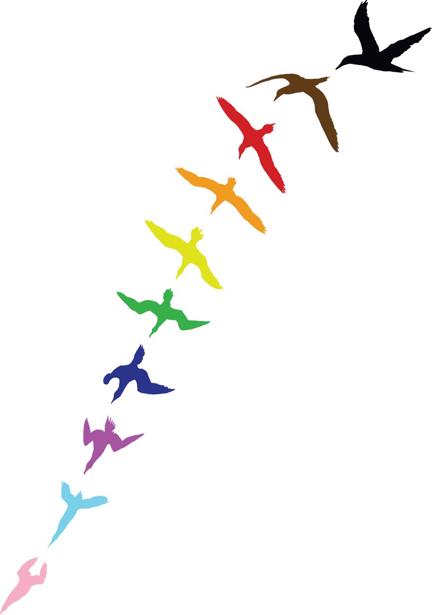 TheSeabirdGroup's tweet photo. The winner of our #LGBTSTEMDay #PolarPrideDay seabird t-shirt design competition is @EllieOnTheRocks with this incredible Progress Pride diving gannet.

The proceeds generated over the next year will be used to support @LGBTSTEM. 🏳️‍⚧️🏳️‍🌈

https://t.co/DukfbchLXX
@PridePolar https://t.co/k4tD5O7cXL