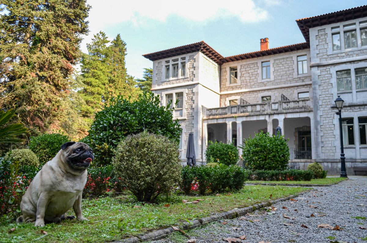 Paradores de Turismo (@paradores) on Twitter photo ¡Disfruta de un estancia segura con tu mascota en Paradores! A vuestra llegada encontraréis un kit de bienvenida de <a href="/RoyalCanin_Es/">Royal Canin España</a> para que la experiencia sea perfecta.
Con todas las garantías de seguridad e higiene. Conoce nuestros hoteles pet friendly: paradores.site/paradores_masc… ¡Disfruta de un estancia segura con tu mascota en Paradores! A vuestra llegada encontraréis un kit de bienvenida de <a href="/RoyalCanin_Es/">Royal Canin España</a> para que la experiencia sea perfecta.
Con todas las garantías de seguridad e higiene. Conoce nuestros hoteles pet friendly: paradores.site/paradores_masc…