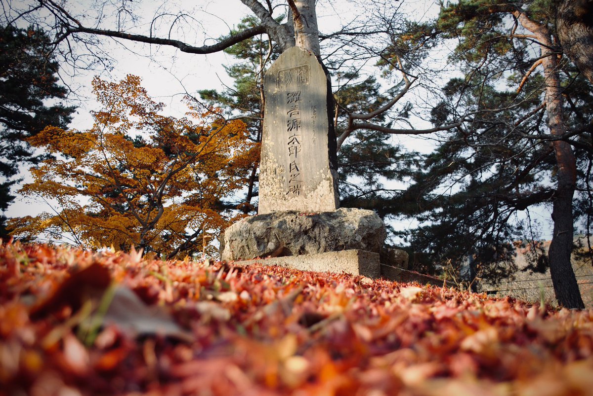 Yuki Nagaoka 南陽市烏帽子山公園 紅葉 山形 南陽市 Nikond3000 Yuki Nagaoka 南陽市烏帽子山公園 紅葉 山形 南陽市 Nikond3000
