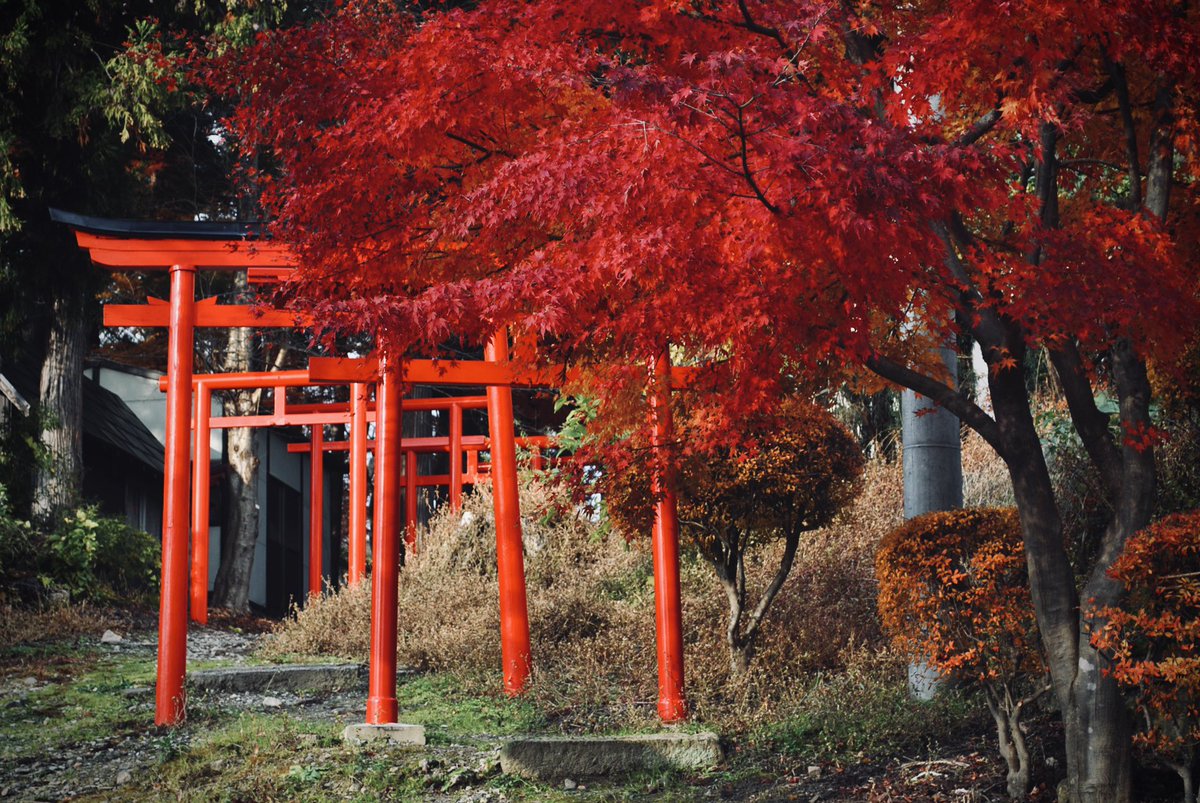 Yuki Nagaoka 南陽市烏帽子山公園 紅葉 山形 南陽市 Nikond3000 Yuki Nagaoka 南陽市烏帽子山公園 紅葉 山形 南陽市 Nikond3000