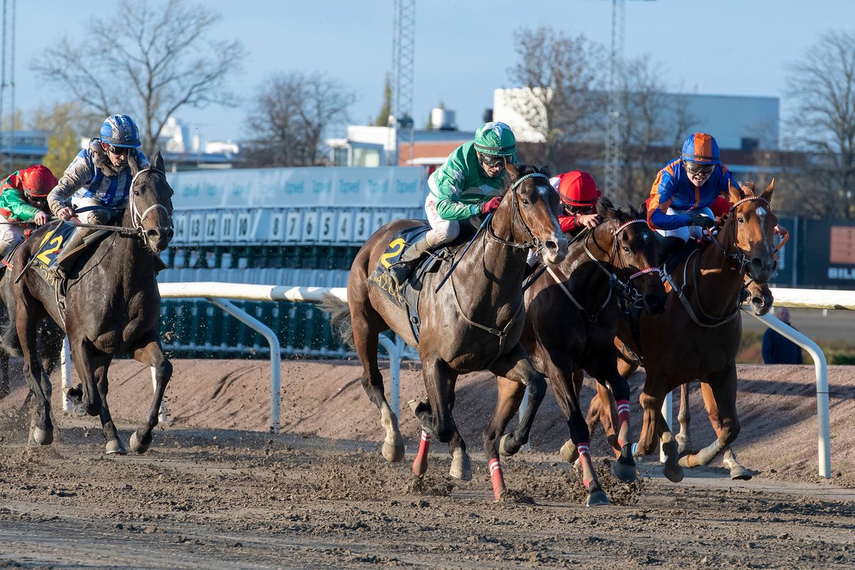 swehorseracing's tweet photo. There will be no live updates on Twitter from the races at #jagersro today. 

Results and replays will be available here: https://t.co/EkGHXa0Wxa

Full racecard can also be viewed here: https://t.co/2Z05kSmvpV

📷 @galoppbilder

#swedishracing https://t.co/AchecGqtKt