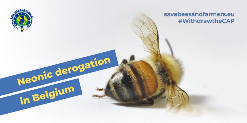 BeesEci's tweet photo. ๐ง๐ชThird year in a row that Belgium grants #neonicotinoides derogation. This is despite extensive evidence of their harmfulness to bees and pollinators. Time to #stopneonics and ban all pesticides in the EU! โ๏ธ๐Sign at https://t.co/JJOTbZx8k9 and #beeheard by the @EU_Commission https://t.co/uNRssfvd0h