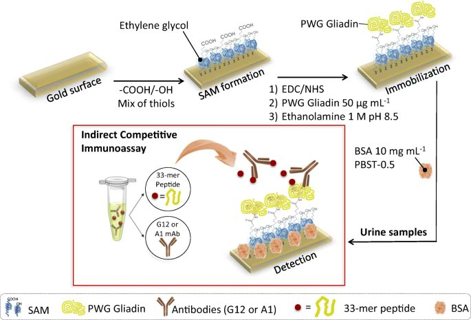 AnalBioanalChem's tweet photo. Happy to see that one of the #ABCFemaleRoleModels is the first woman to receive the Juan de la Cierva Technology Transfer Award!
Here is Laura's contribution to the collection:
https://t.co/WQMAVnvx5i
@Sla27para @icn2nano @CIBERBBN @_BIST @BiomedalEN @unisevilla #WomenInSTEM https://t.co/ip1Gga3x5S
