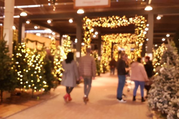 ‘Het wordt tijd voor een wissel: horeca open, tuincentrum en bouwmarkt dicht’ dlvr.it/Rlwx86