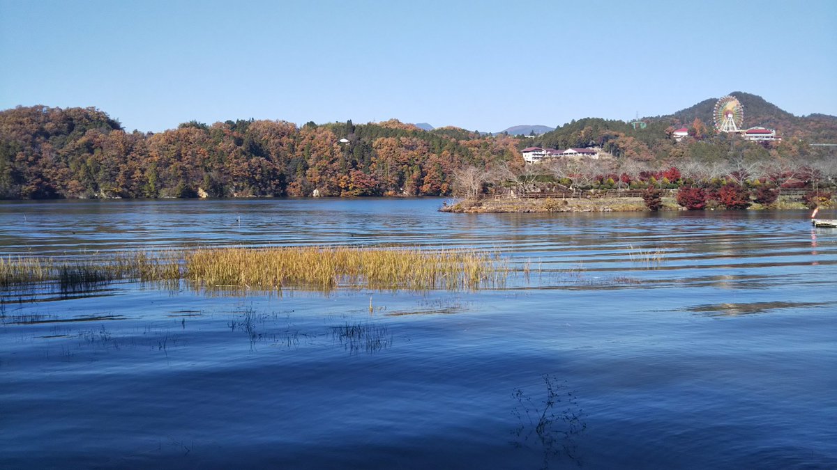 Suuujuuu's tweet image. 秋の日の待てど動かぬ観覧車
#新俳句フォト #お～いお茶