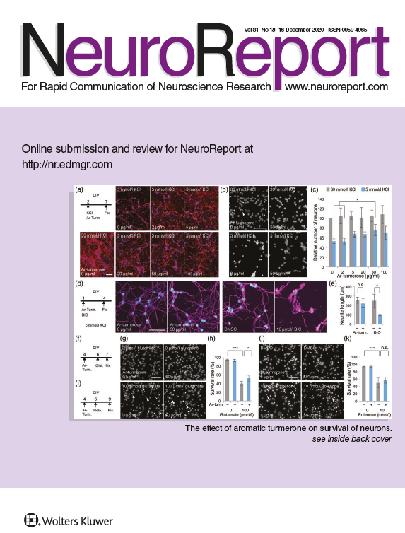 NeuroReport tweet media
