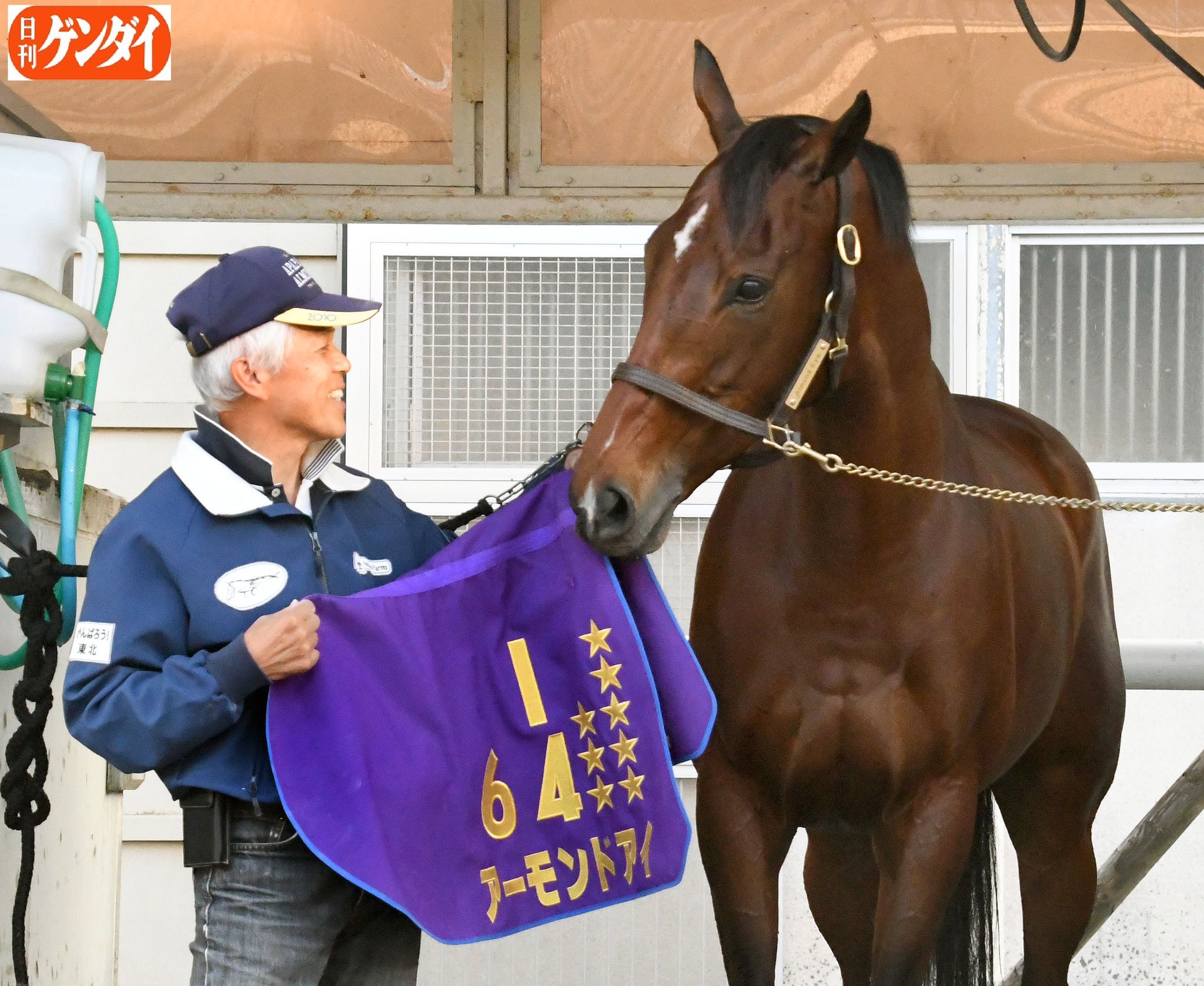 日刊ゲンダイ 競馬 on X: 日刊ゲンダイ 競馬 on X: