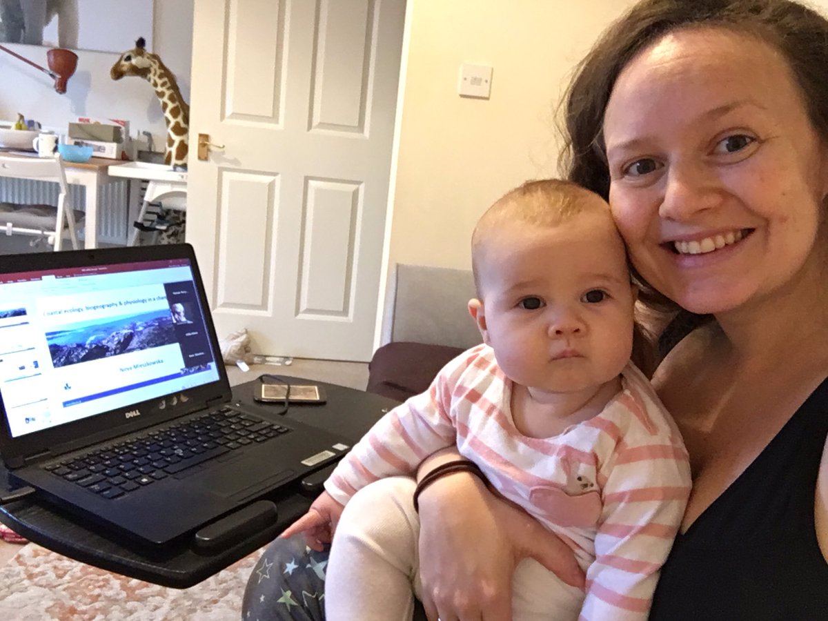 H_ParryWilson's tweet photo. Introducing my small human to what Mummy does for work!
Enjoying my first science talk for some time by @MarClim_UK @thembauk
#phdparent #firsttalk #marclim #rockyshore #ecology https://t.co/lgA4ZKSQoK