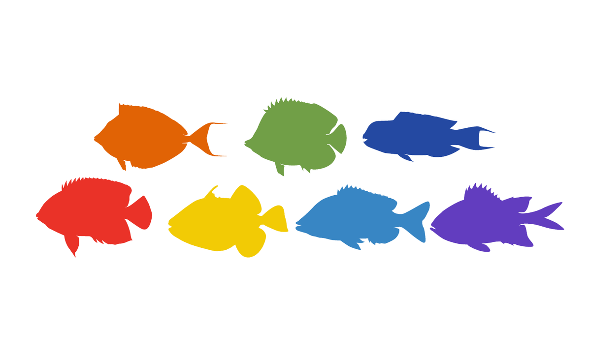 I usually tweet about 🐟and #RStats , but for today's #LGBTQSTEMDay I am proud to say I'm #BiInSci!

(Check out R package #fishualize to make your own colorful fish arrangement!)