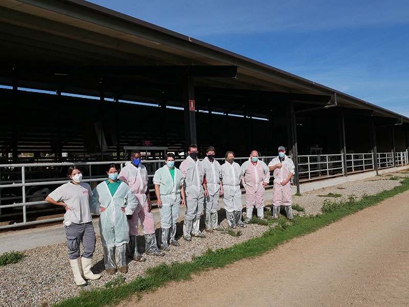 DiputacioGirona's tweet photo. 🐄#Semega i @irtacat han organitzat, per primer cop, formacions per a inseminadors i munyidors de vaques de llet de les #comarquesgironines.

✅Està previst que se'n programin de noves properament, per l'alta demanada de peticions.
👉https://t.co/N8uFLT5ABx https://t.co/5YecCMuaNr