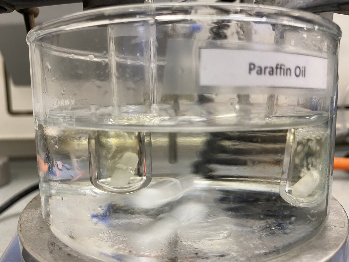 Today is the poly(2-oxazoline) day in the polymer masters lab!! <a href="/RemziBecer/">Becer Research Group</a> <a href="/JungyeonKim92/">Jungyeon Kim</a>