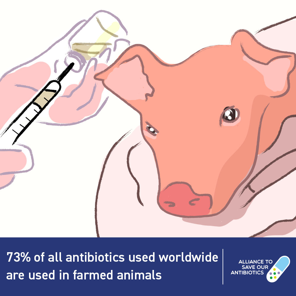 It's * World Antimicrobial Awareness Week 2020 * and we want you to know that 73% of all antibiotics used worldwide are used in farmed animals. Often to prevent or treat diseases caused by poor husbandry.  #WAAW2020