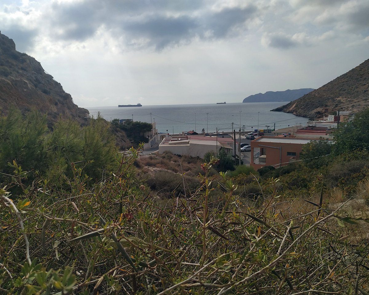 EspNaturalesMur's tweet photo. 🧐 Esta foto de la playa del Portús en el #ENP La Muela, Cabo Tiñoso y Roldán esconde algo más que un bonito paisaje...
😃¿Algún experto del camuflaje entre la vegetación?😍 https://t.co/jXVxQponzT